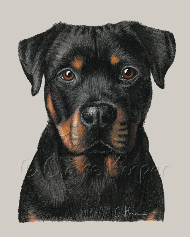 Herbie portrait