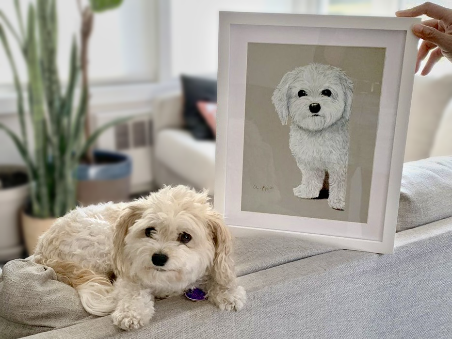 Poppy the dog posing with her charcoal portrait